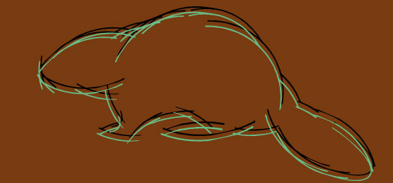 Dessin Castor Dessin Castor